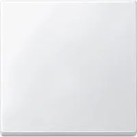 Wippe für Wechselschalter, Kreuzschalter und Taster, einteilige Ausführung, Thermoplast weiß (matt), Retail
