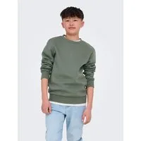 ONLY & SONS junior Sweatshirt OSJCERES CREW NECK SWT NOOS Baumwollmischung, regular fit