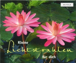 Kleine Lichtstrahlen für dich