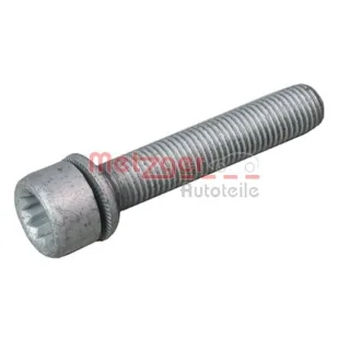 Metzger Schraube f?r Bremssattel hinten Audi Seat Skoda VW 6250007S