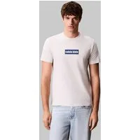 Calvin Klein Jeans T-Shirt SS 30s E CLVN LN BG mit Logo-Schriftzug