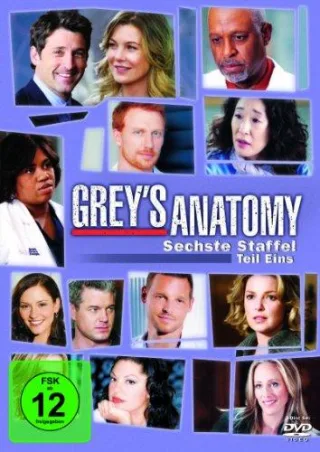 Grey's Anatomy: Die jungen Ärzte - Sechste Staffel Teil Eins [3 DVDs]