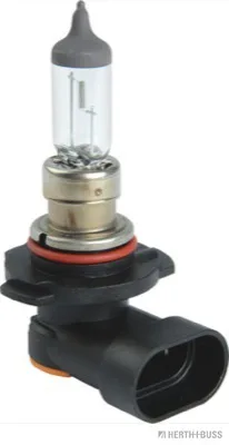 HERTH&BUSS Glühlampe, 12V 45W H10 PY20d - 89901305
