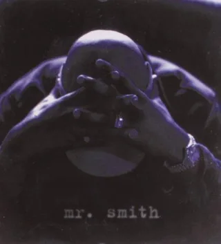 Mr.Smith [Audio CD] Ll Cool J