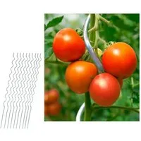 Home4Living Rankhilfe Tomatenstäbe Tomatenspiralstab Tomatenstange 10er Set Spiralstab, verzinkt, langlebig, wiederverwendbar