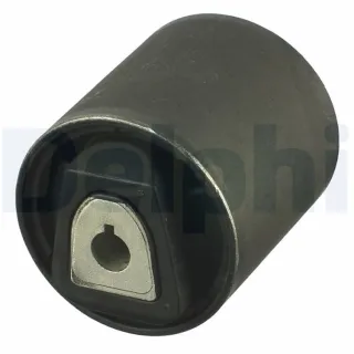 Delphi Querlenkerlager BMW X5 E70 F15 X6 E71 F16 TD914W