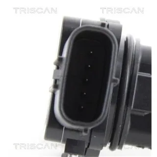 Triscan AGR-Ventil Nissan Primera Renault Megane 1,9