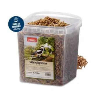 Panto SOLDATENFLIEGENLARVEN 750G