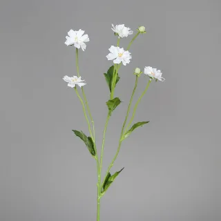 70 cm