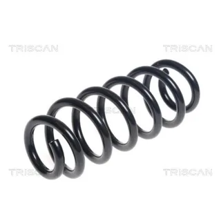 Triscan Feder hinten Audi A3 8V 2,0