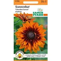 SAMEN PFANN Blumensamen Sonnenhut, Cherokee Sunset - Saatgut Samen, Rudbeckia hirta