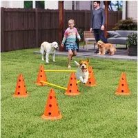 PawHut Agility-Hürde mit Kegel, Stangen, Tragetasche, Kunststoff, Agility Set (3-tlg) für Hundetraining, Spiele, Training, Orange
