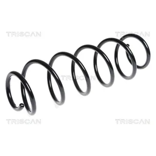 Triscan Feder hinten Renault Laguna 3 87502582