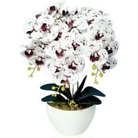 Kunstorchidee Orchidee, damich, Höhe 60 cm, Künstliche Orchidee im Blumentopf