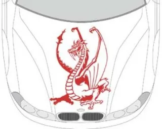 Autoaufkleber für die Motorhaube "Dachen Aufkleber"