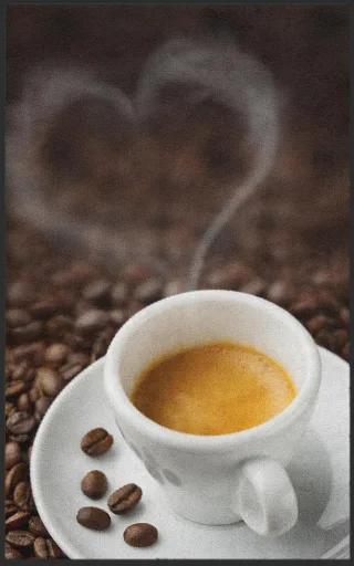 Fussmatte Kaffee 7157 | Größe: 60 cm x 90 cm