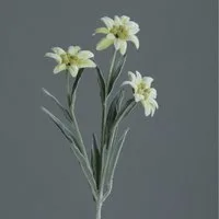 Winterliche Kunstpflanze Künstliches Alpen Edelweiß mit 3 Blüten ca. 30cm Cream Alpenblume, mucPlants
