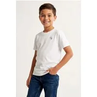 Abercrombie Kids T-Shirt AFBSHORT SLEEVE ESSENTIA mit Logo-Stickerei, for boys
