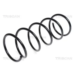 Triscan Feder vorne Peugeot 206+ 1,4 875028176