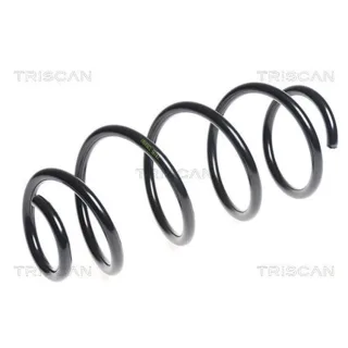 Triscan Feder vorne Seat Toledo Skoda Rapid VW Polo 1,6