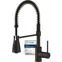 Lenz Küchenarmatur KALANI² flexible Geschirrbrause, 2 Strahlarten, 306° schwenkbar Nickelfrei