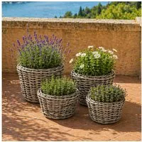 Van der Leeden Blumentopf Pflanzkorb Pflanzentreppe Rattan Korb Pflanzkübel (Set, 4 St., Packung), 4tlg, 4 Größen, Rattan, Handmade, ohne Wasserablauf