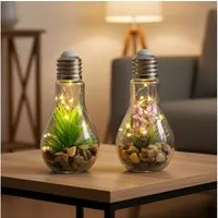 Levandeo® LED Dekoobjekt, 2er Set Sukkulenten Glühbirne Im Glas B x H: 8 x 19 cm LED Warmweiß