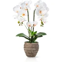Kunstorchidee PASCH® Orchidee künstlich wie echt (60cm) in Urban Stone Töpfen Orchidee, PASCH, Real Touch Blüten, Handgefertigter Stone Cube
