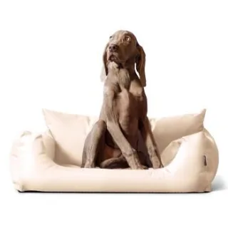 Tierlando NEMO Hundebett Hundesofa S M L Hundekorb Katzenbett 65 80 100cm creme 1 m, 25 cm, 80 cm