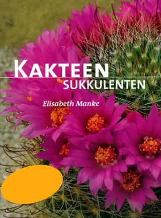 Kakteen Sukkulenten