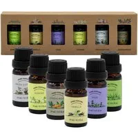 Spetebo Duftöl Aromaöl für Diffuser in 6 verschiedenen Düfen (12er Set, 1-St., 12 Flacon mit jeweils 10ml), zur Anwendung in Diffuser-Gräten