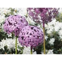 Paulslandhaus Dekokugel Pflanzstecker Allium Lila Gartenstecker Rosenkugel Metall