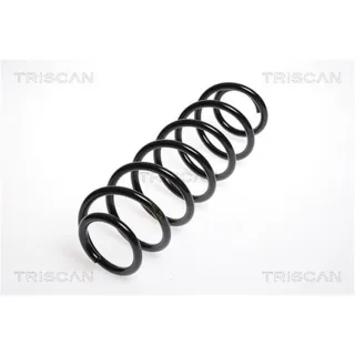 Triscan Feder hinten Seat Cordoba Ibiza Skoda Fabia VW Polo