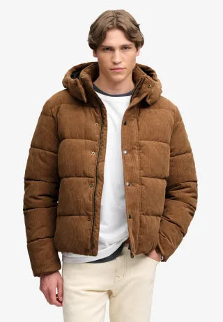 Superdry - Premium Cord Steppjacke mit Kapuze dunkel tabakbraun - Gr. - M