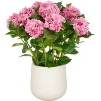 Kunstpflanze Hortensie, Creativ green, Höhe 70 cm, im eleganten Topf