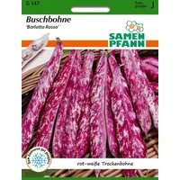 SAMEN PFANN Gemüsesamen Buschbohne, Borlotto Rosso, Trockenbohne Bohnen-Samen Saatgut Samen, Phaseolus vulgaris