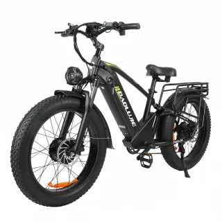 [EU DIRECT] BAOLUJIE DP2401 Electric Bike 48V 20AH Battery 1000W*2 Dual Motors Recommended Top Speed 25KM/H 24*4.0inch T