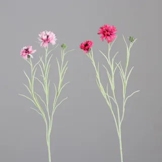 Kunstblume Kornzweig