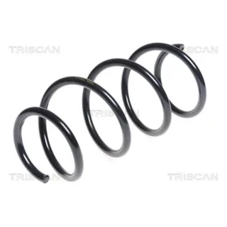 Triscan Feder vorne Nissan Note 875014115