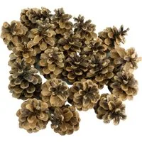Getzoo Bastelnaturmaterial Getzoo Deutsche Tannenzapfen, 1kg ca. 60 STK. - Naturzapfen für Deko, (1-tlg)