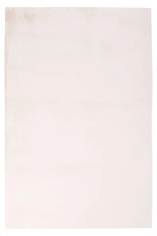 120 x 170 cm