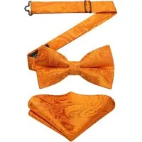 LuxusKollektion Fliege Fliege Einstecktuch Herren Smoking Hochzeit Party G Orange 1