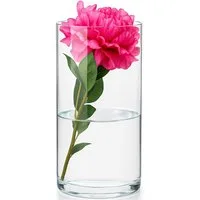 KONZEPT Tischvase Zylinder Glasvase (16 cm, H:30 cm), große Vase Glas (1 St), moderne Blumenvase, transparente Glaszylinder, Glasvase für Blumen