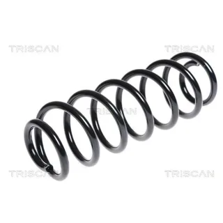Triscan Feder hinten Citroen C4 Peugeot 308 875028136