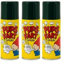Erfurth Fun Spiel Scherzartikel Pupsspray 50ml – Ideal für Geburtstag, Karneval & Party, 50 ml purer Spaß – der freche Streich, der garantiert zündet!