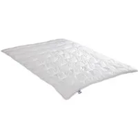 Irisette Sale Microfaserbettdecke Jette, Füllung: Markenhohlfaser irisette® Fill - 100% Polyester, Bezug: angenehm weich, Deutsches Markenprodukt, erhältlich in 4 Wärmeklassen