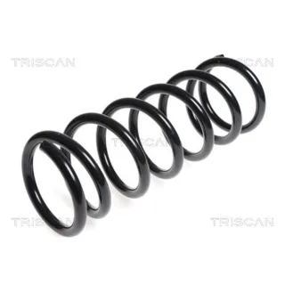 Triscan Feder hinten Nissan Pathfinder