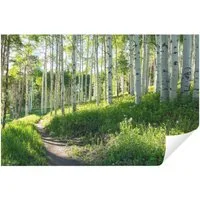 Wallarena Fototapete Wald, Querformat, Wohnzimmer, glatt, Wald, 200x140cm