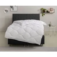 OTTO home Microfaserbettdecke Angly, Bettdecke 135x200 cm und 155x220 cm, Füllung: Polyester, Bezug: Polyester, Bettdecken, Sommer, Winter, Decke, Allergiker geeignet (Hausstaub)