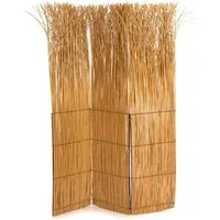 DESIGN DELIGHTS Paravent RAUMTEILER NATURE, honigfarben 160x120cm (LxB) Weide Paravent Trennwa